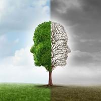 Fachtag Sozialpsychiatrie am 11.11.2026