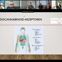 Cannabisvortrag.png