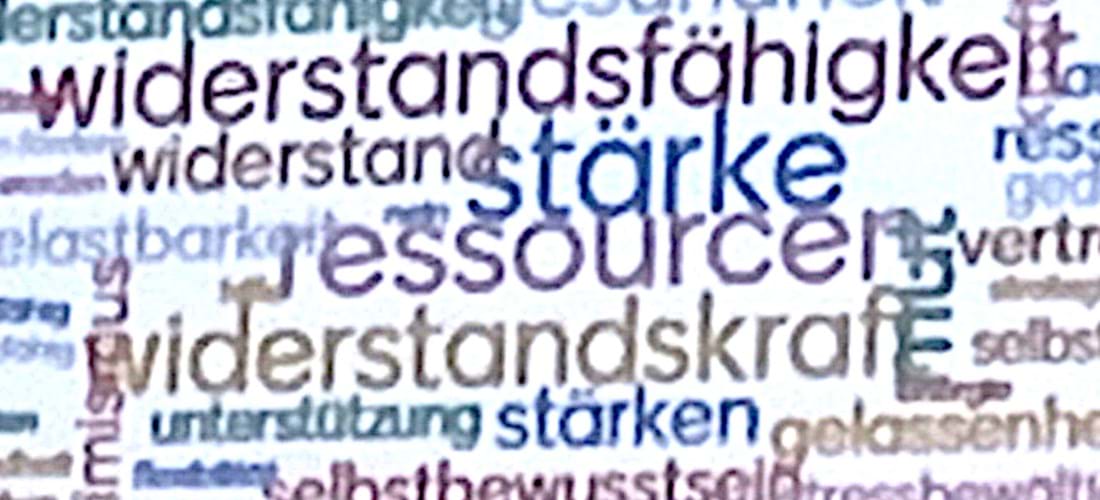 Hilfen für Kinder in besonderen Lebenslagen – landkreisübergreifender ...